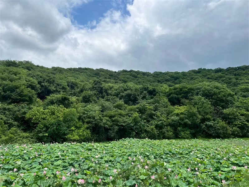 微信图片_202210190925192_副本.jpg 微信图片_202210190925192_副本.jpg