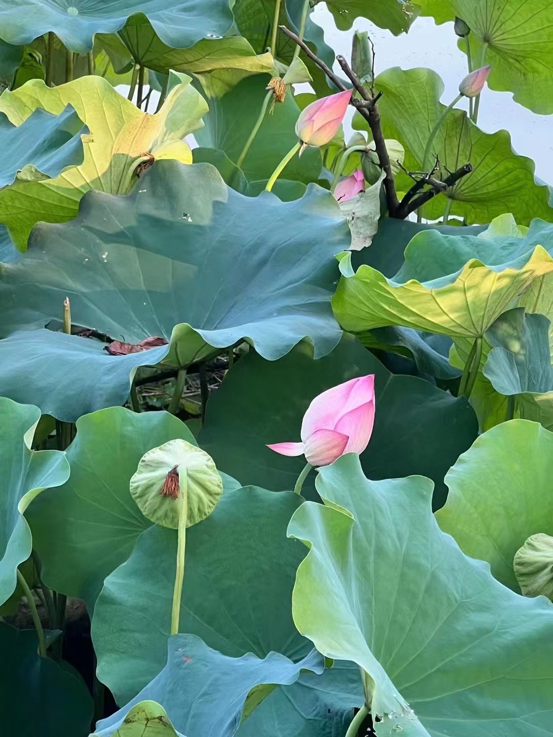 微信图片_202210190925191.jpg 微信图片_202210190925191.jpg