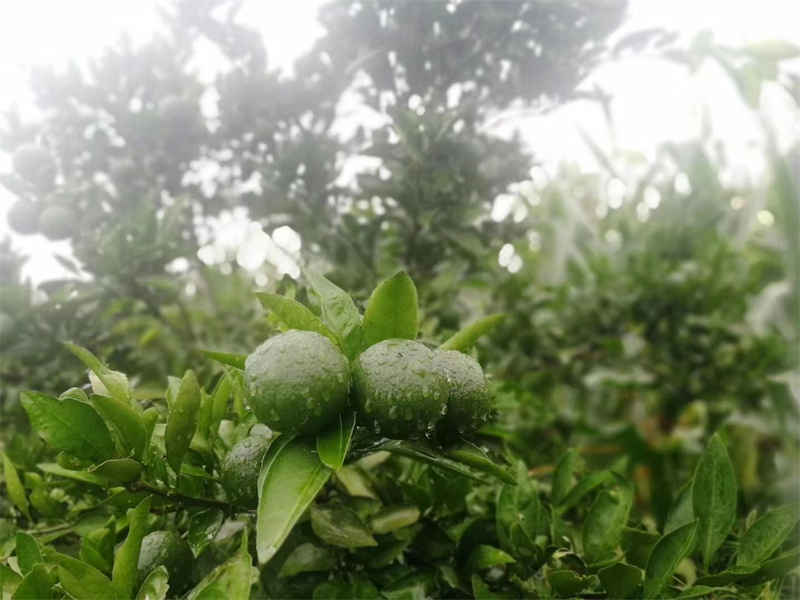 微信图片_2022101110021019_副本.jpg 微信图片_2022101110021019_副本.jpg