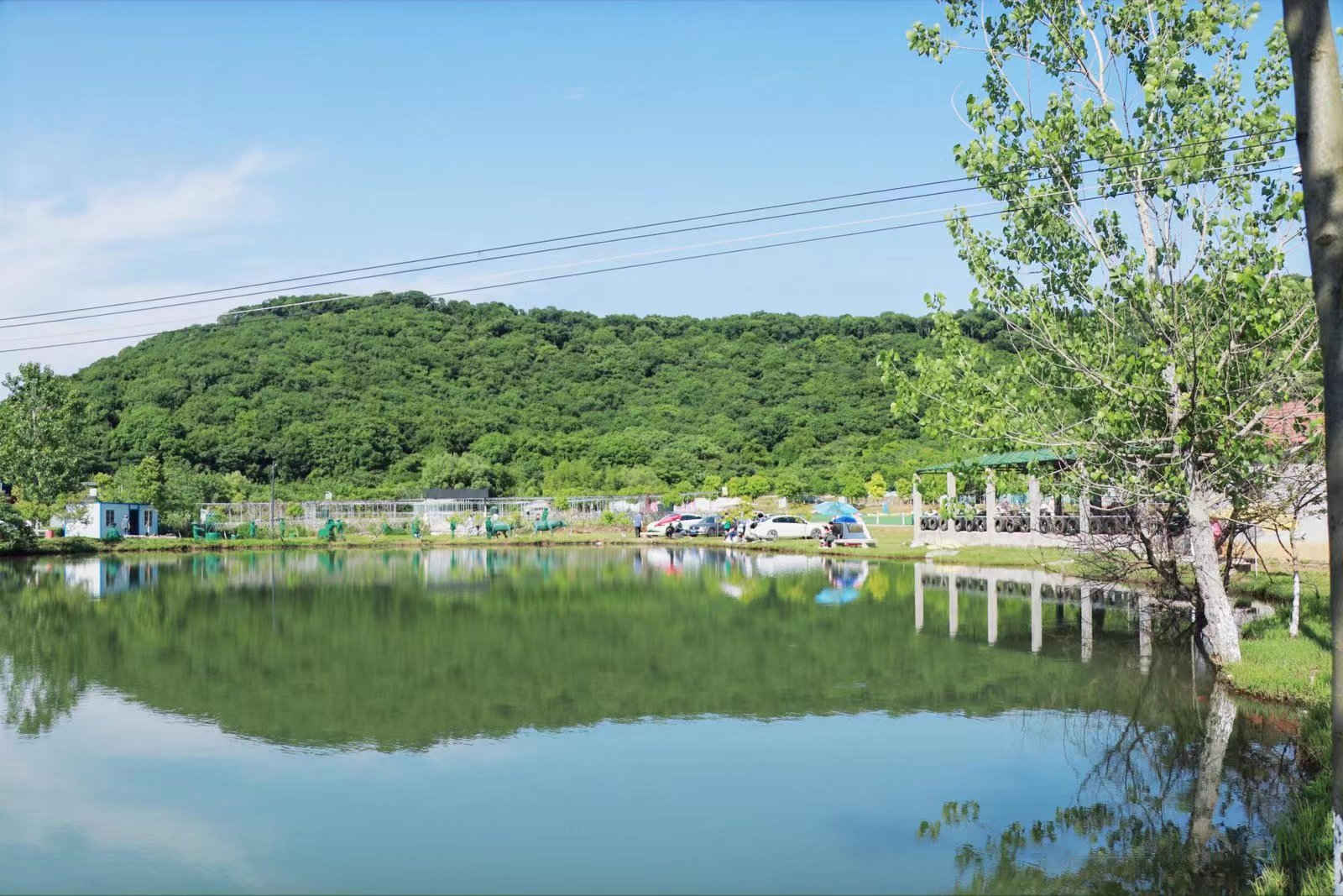 微信图片_202211071609171_副本.jpg 微信图片_202211071609171_副本.jpg