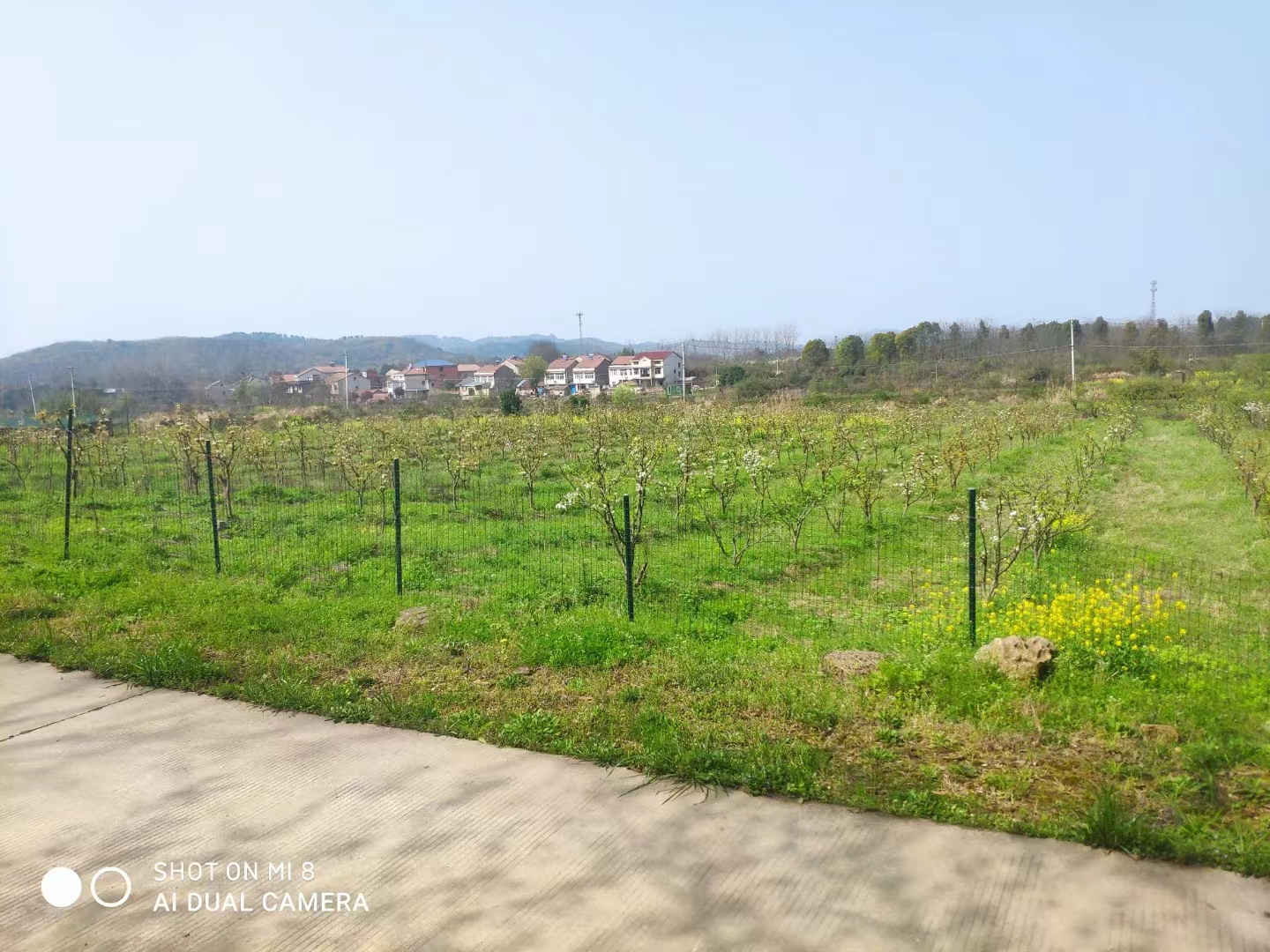 微信图片_20221107161053_副本.jpg 微信图片_20221107161053_副本.jpg