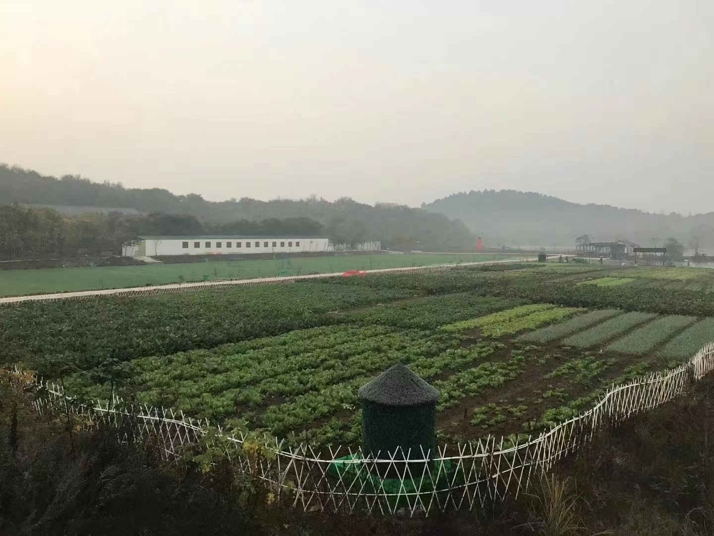 微信图片_202211071609177_副本.jpg 微信图片_202211071609177_副本.jpg