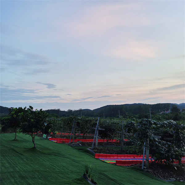 微信图片_20221107161328_副本.jpg 微信图片_20221107161328_副本.jpg