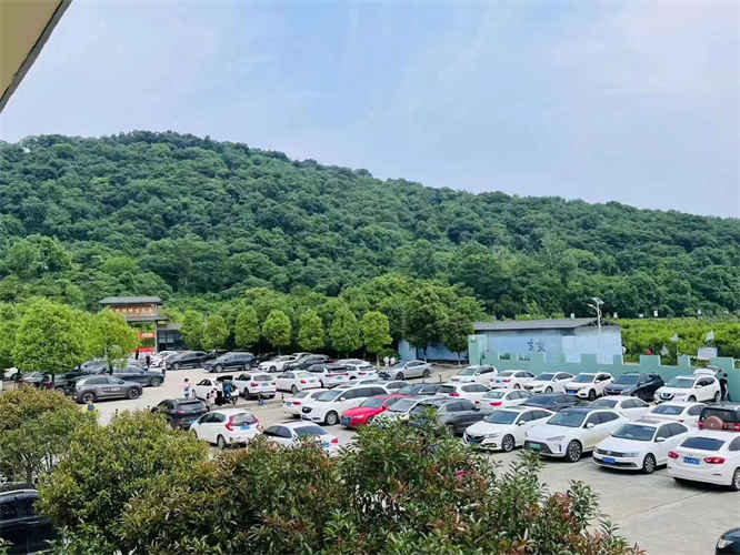 微信图片_20221107161235_副本.jpg 微信图片_20221107161235_副本.jpg