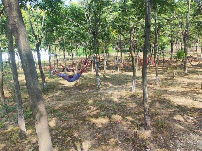 微信图片_2022110715391011_副本.jpg 微信图片_2022110715391011_副本.jpg