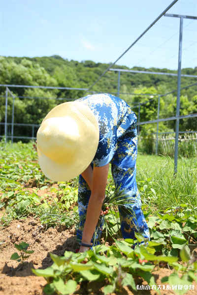 夏令营05.jpg