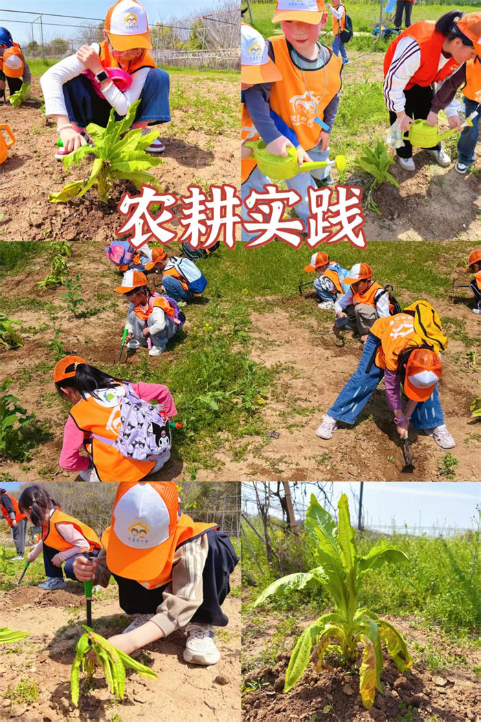 微信图片_2025-06-20_173237_943.jpg