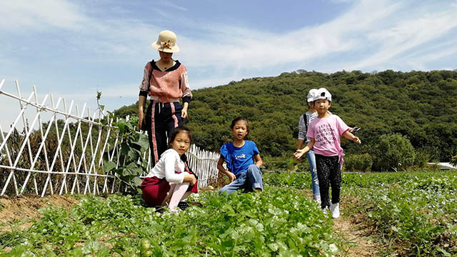 武汉周边度假村——乐农湖畔生态园